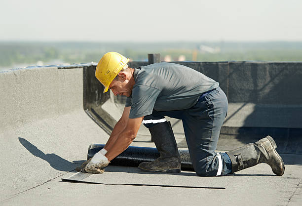 Best DIY Insulation Kits and Guidance in Metairie, LA